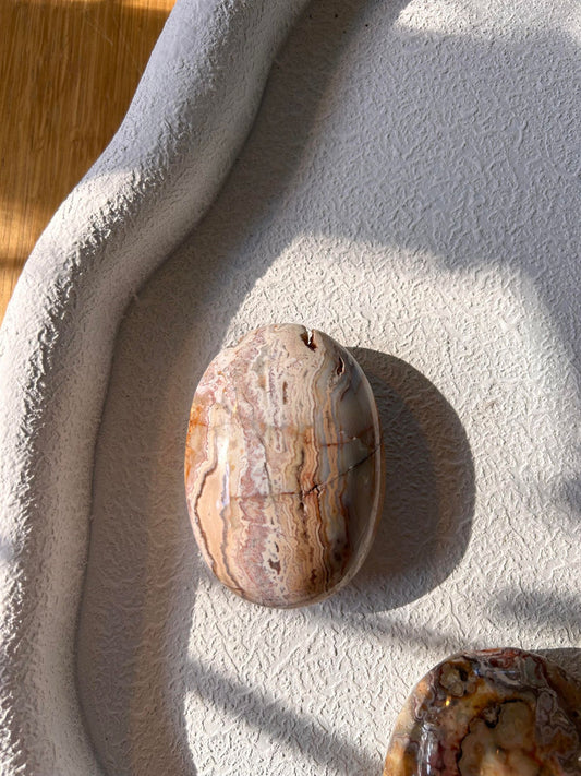 Crazy Lace Agate Palm