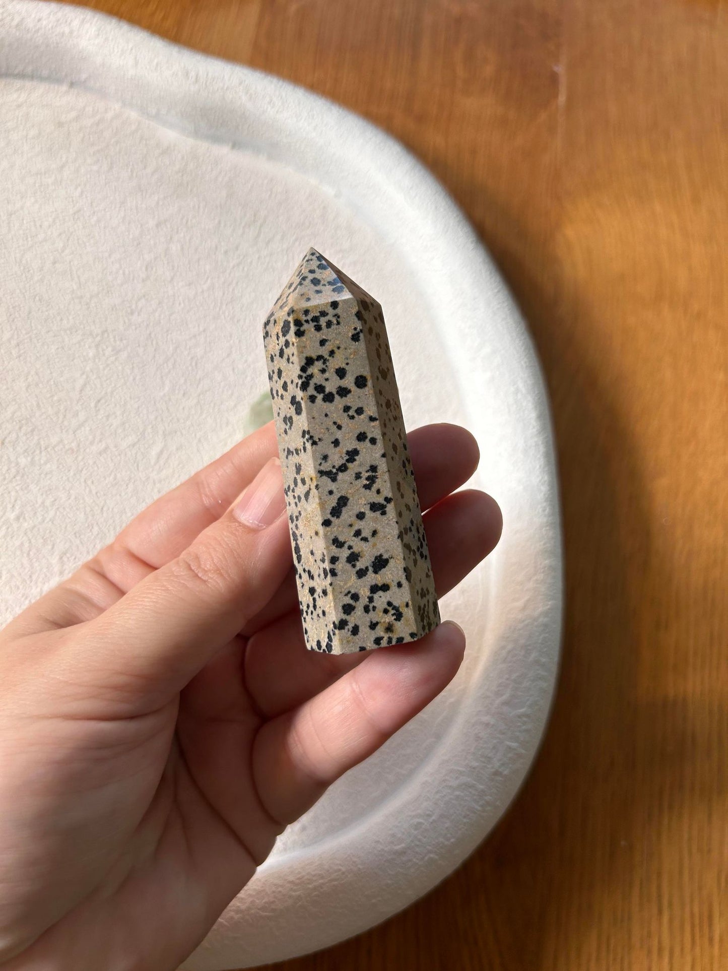 Dalmatian Jasper
