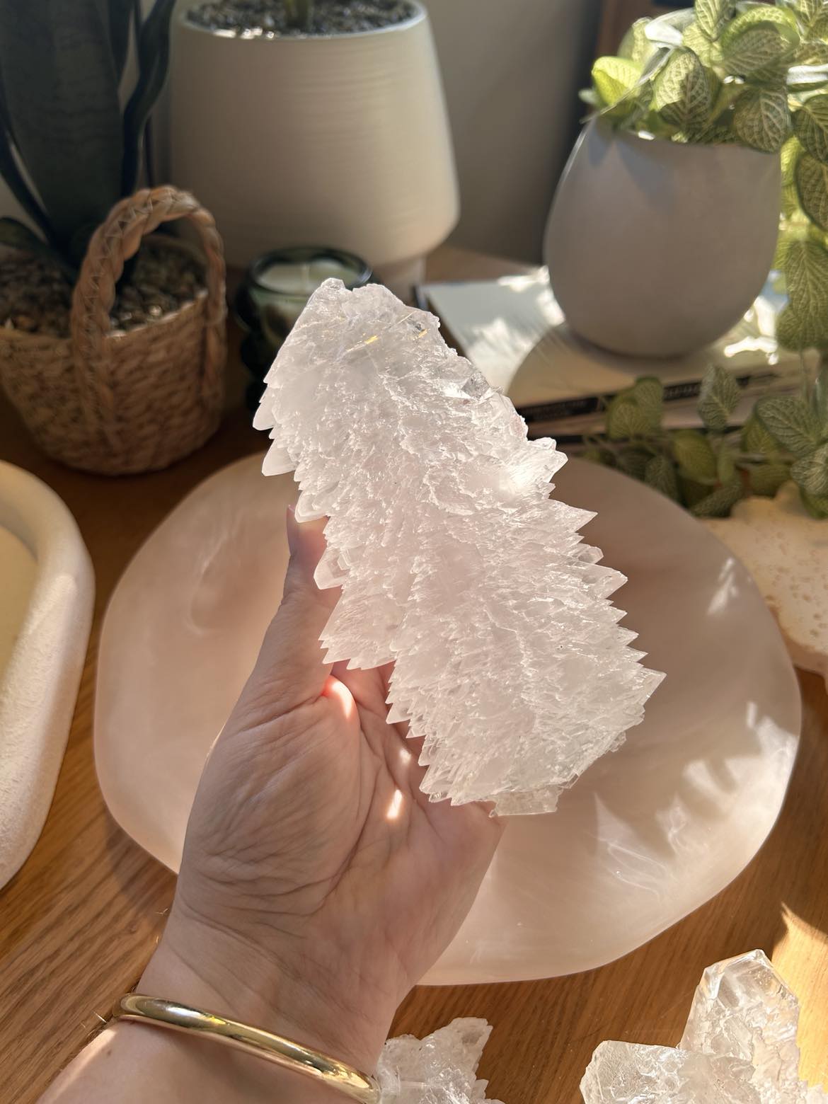 Fishtail Selenite