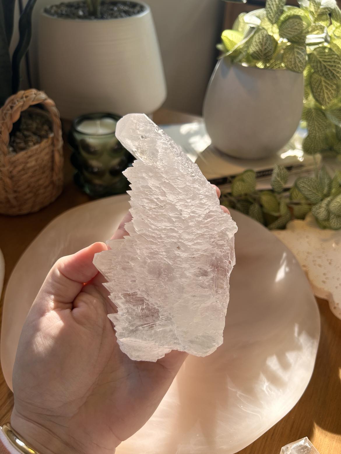 Fishtail Selenite