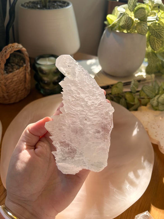 Fishtail Selenite