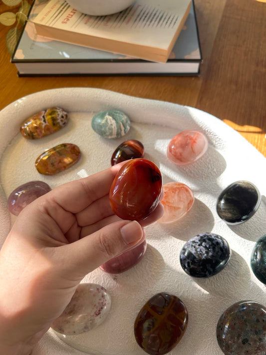 Carnelian Palm