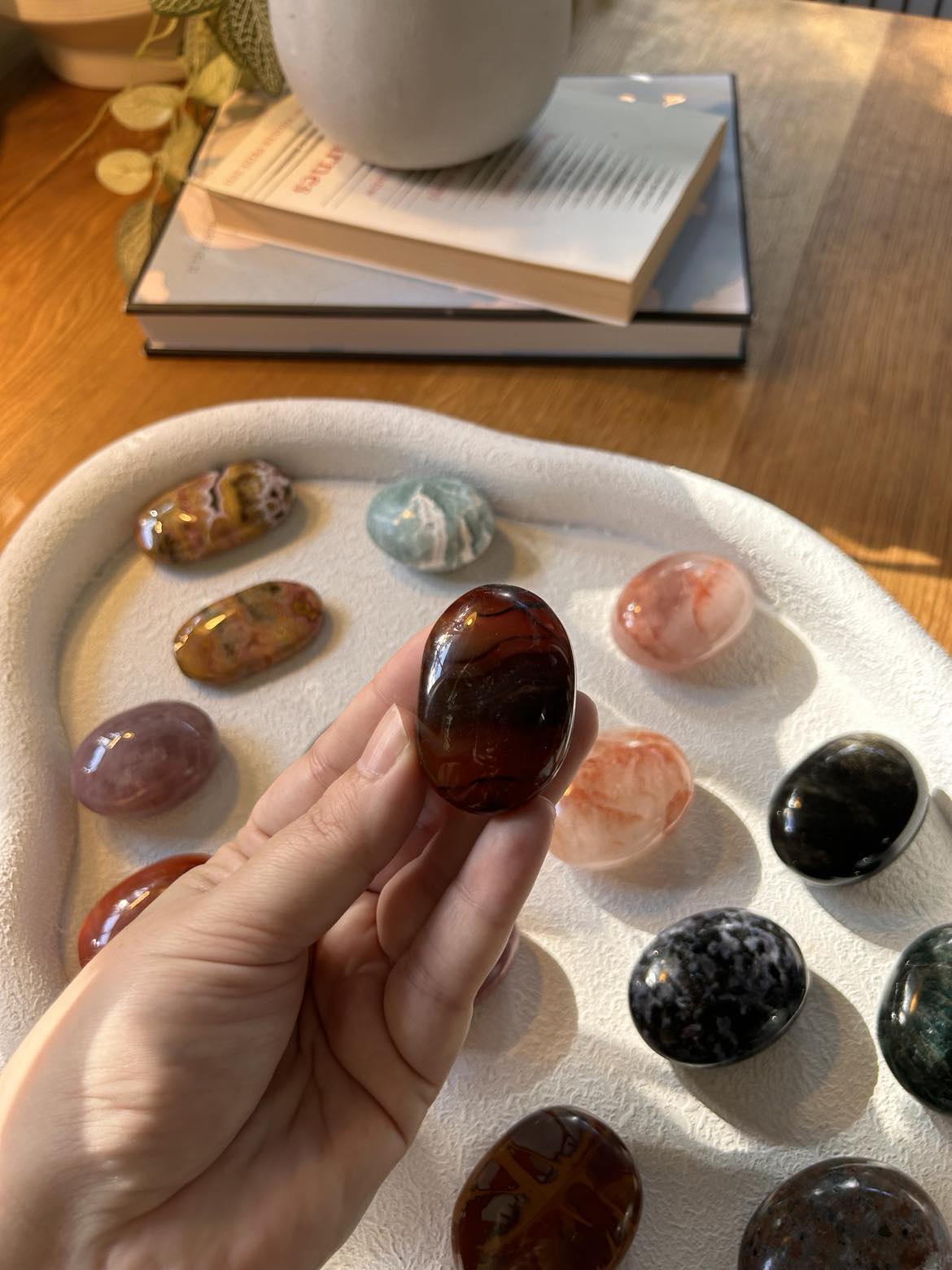 Carnelian Palm