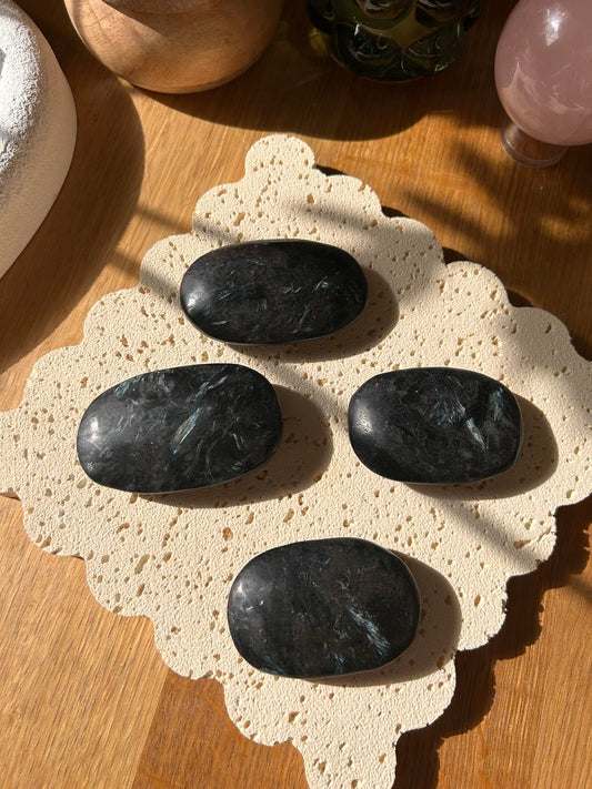 Astrophyllite Palm
