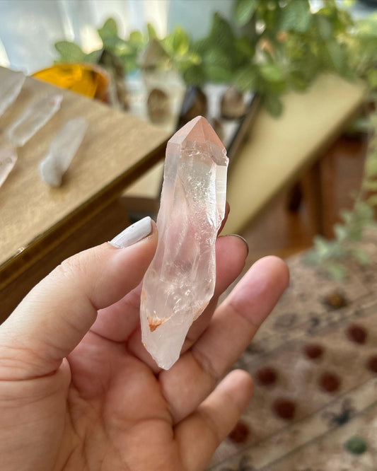 Pink Lumarian Seed