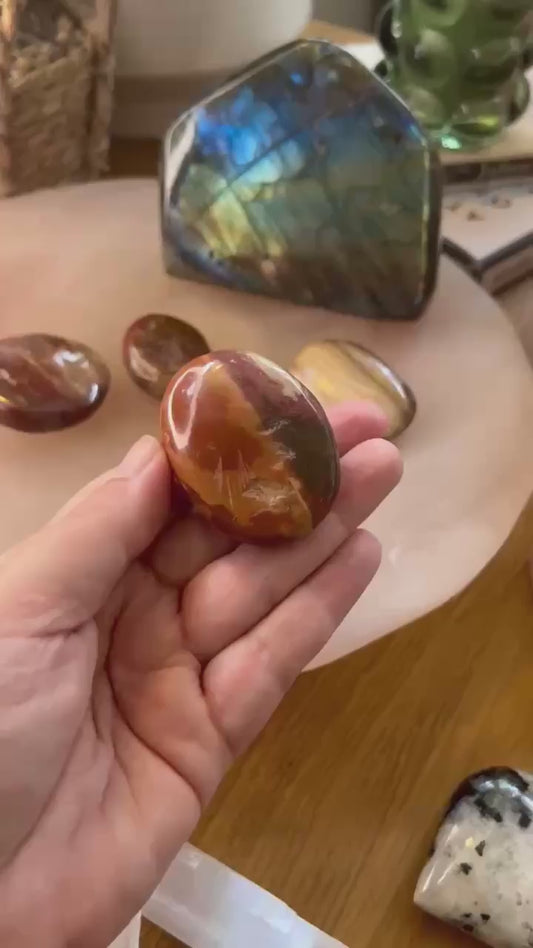 Petrified Wood Palm