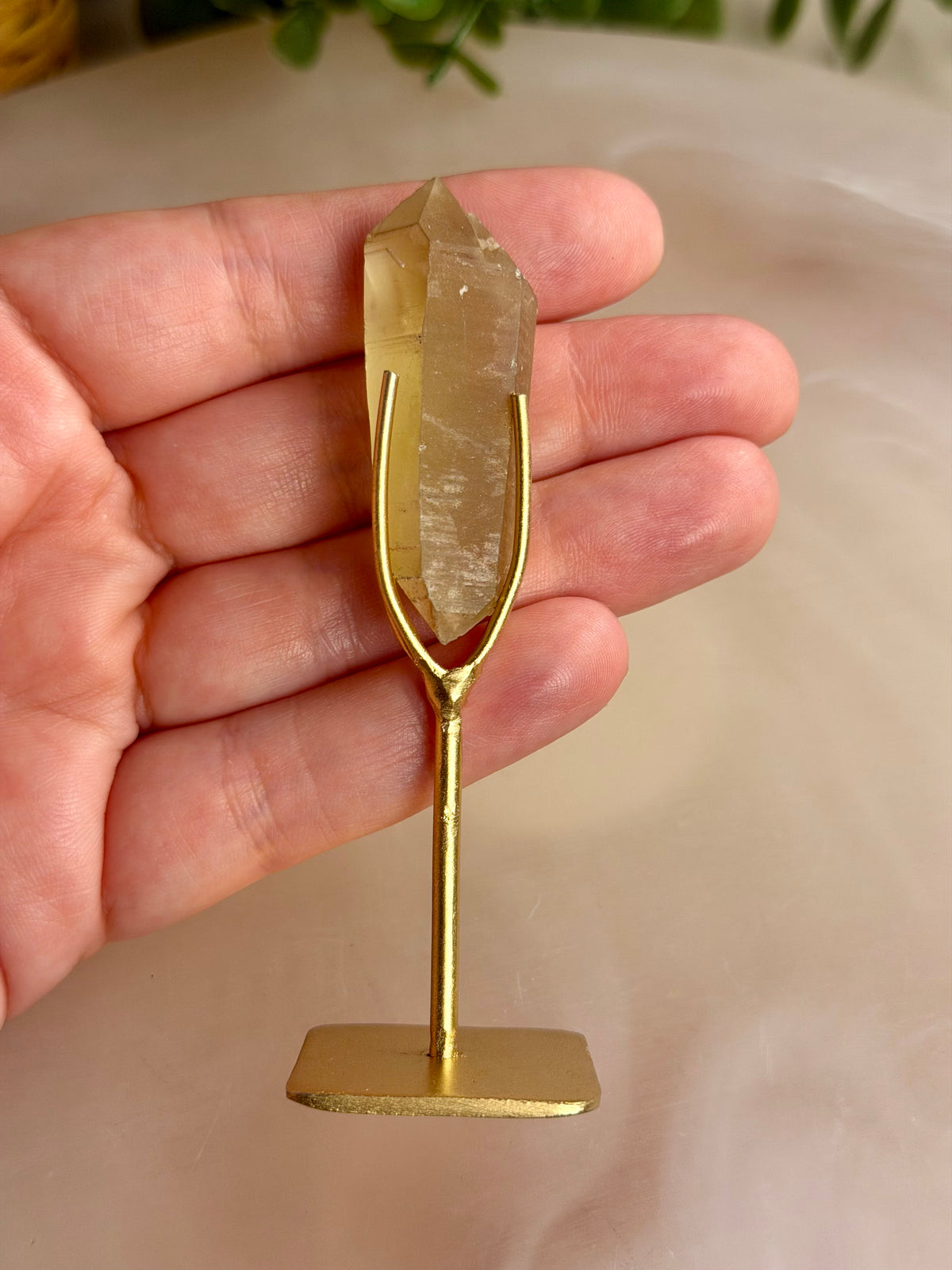 Citrine Seed on Stand