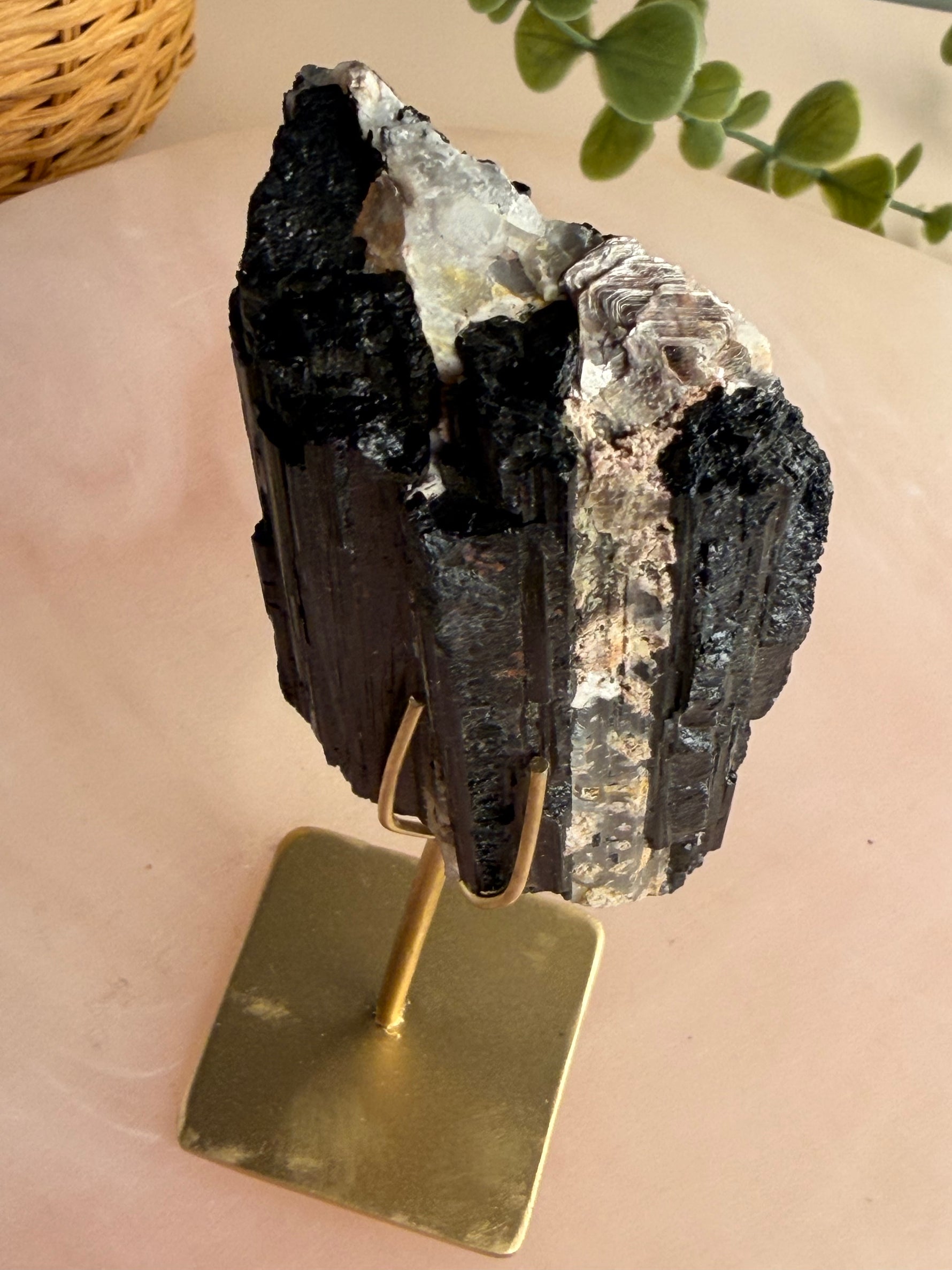 Black Tourmaline with custom stand