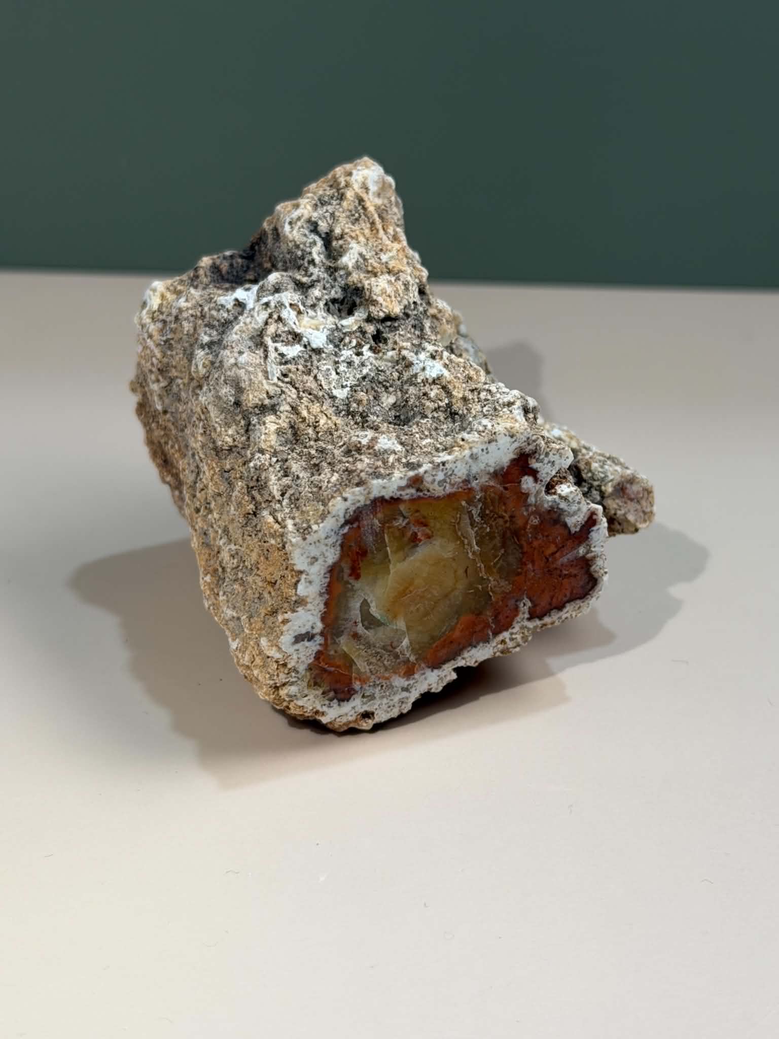 Petrified Wood Log