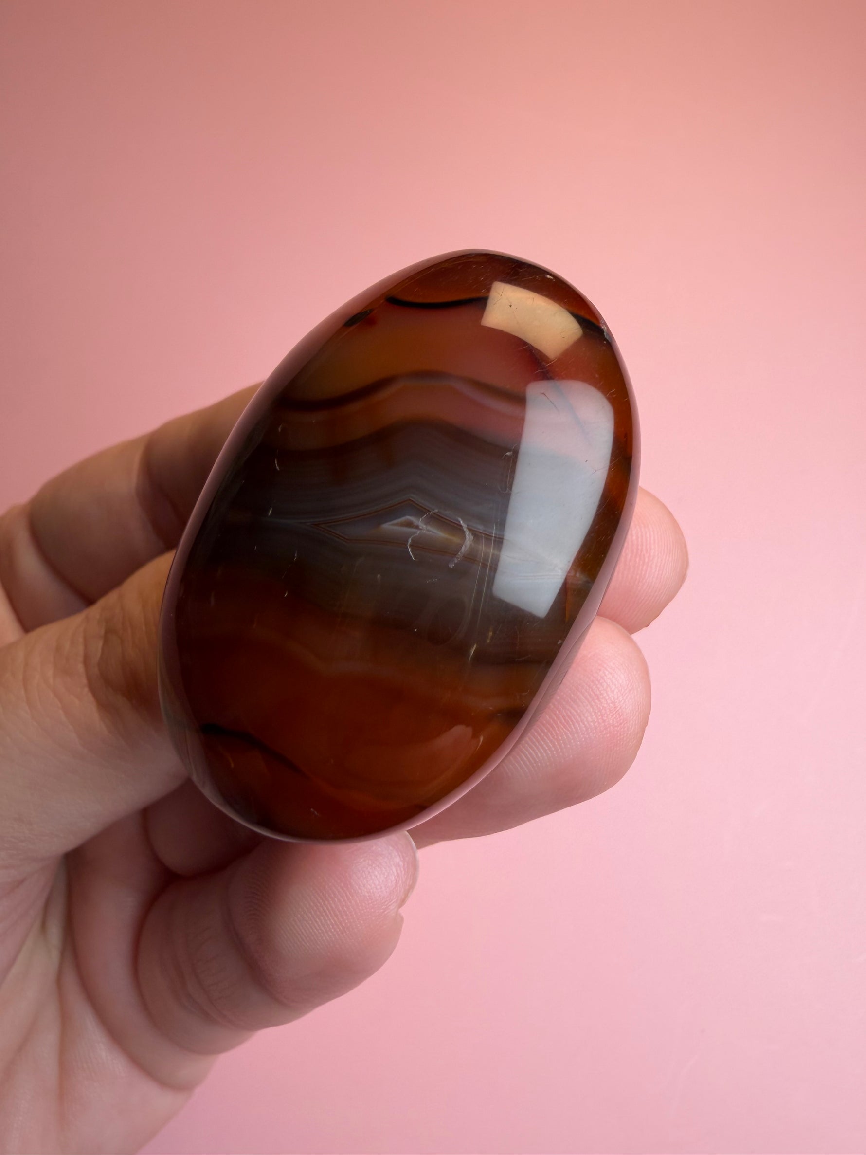 Carnelian Palm