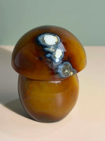 Carnelian Mushroom