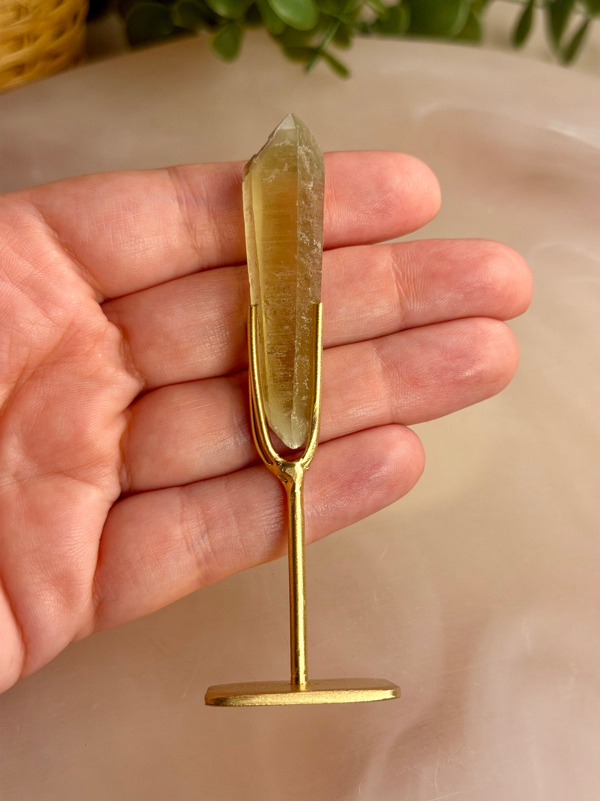 Citrine Seed on Stand
