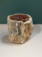 Petrified Wood Log