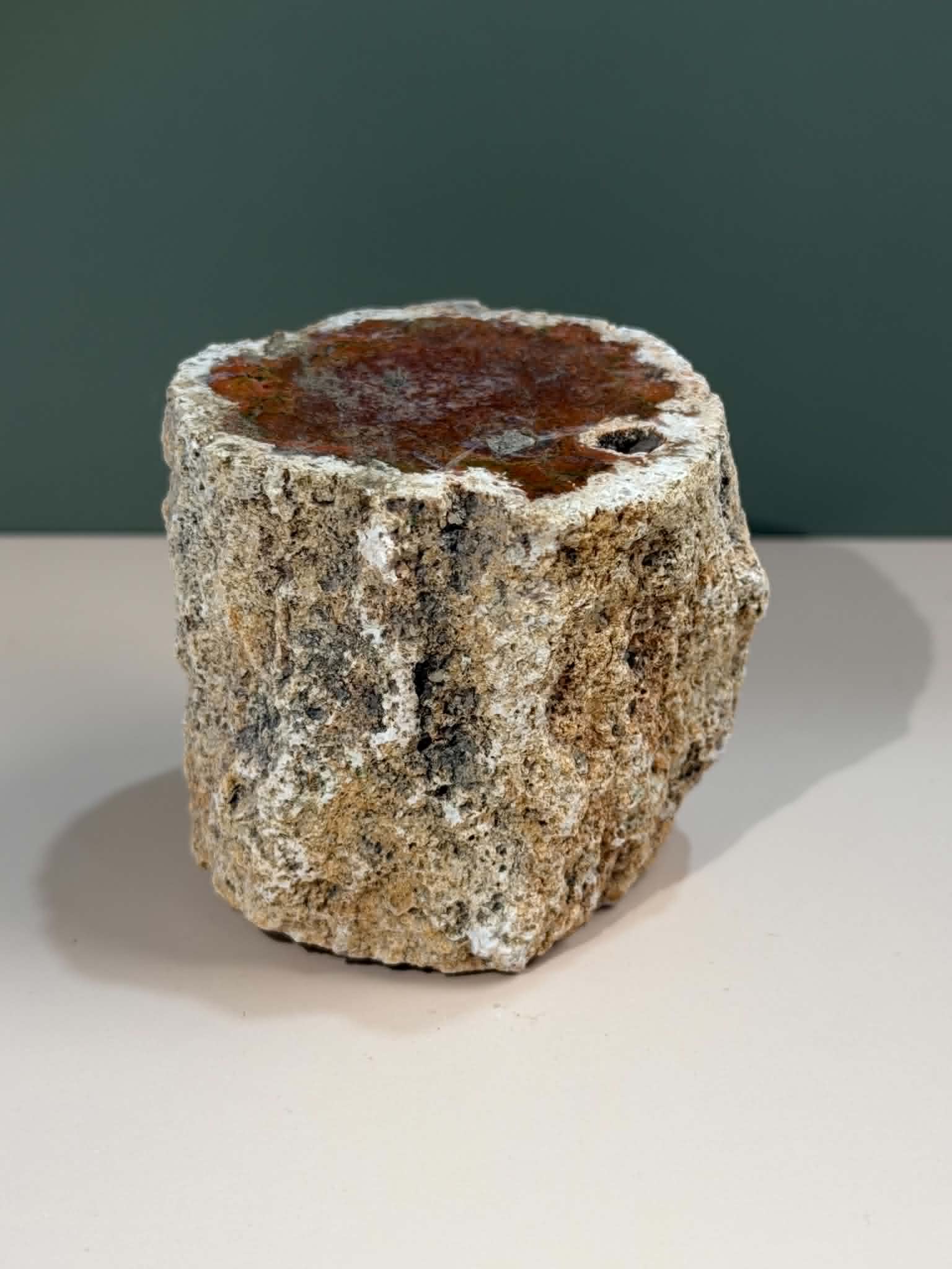Petrified Wood Log