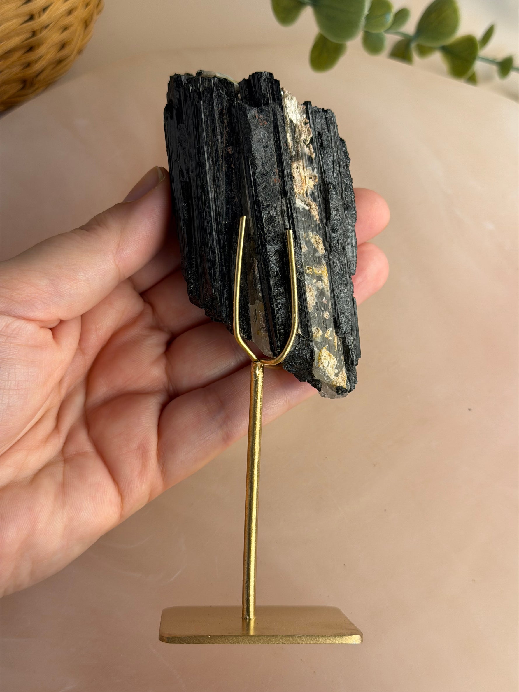 Black Tourmaline with custom stand