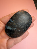 Astrophyllite Palm