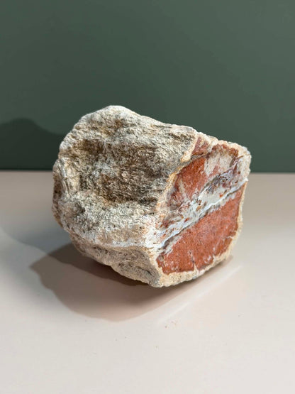 Petrified Wood Log