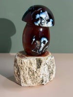 Carnelian Mushroom