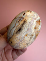 Crazy Lace Agate Palm