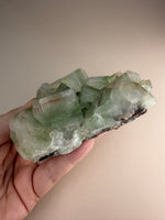 Green Apophyllite