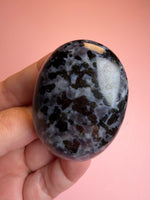 Indigo Gabbro Palm