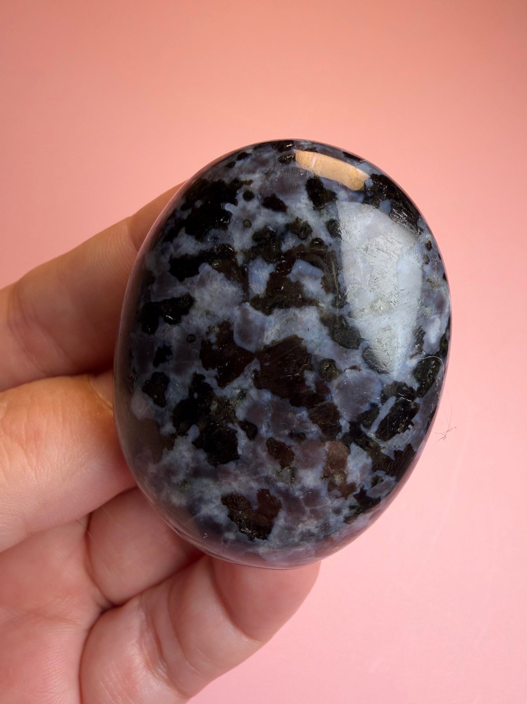 Indigo Gabbro Palm