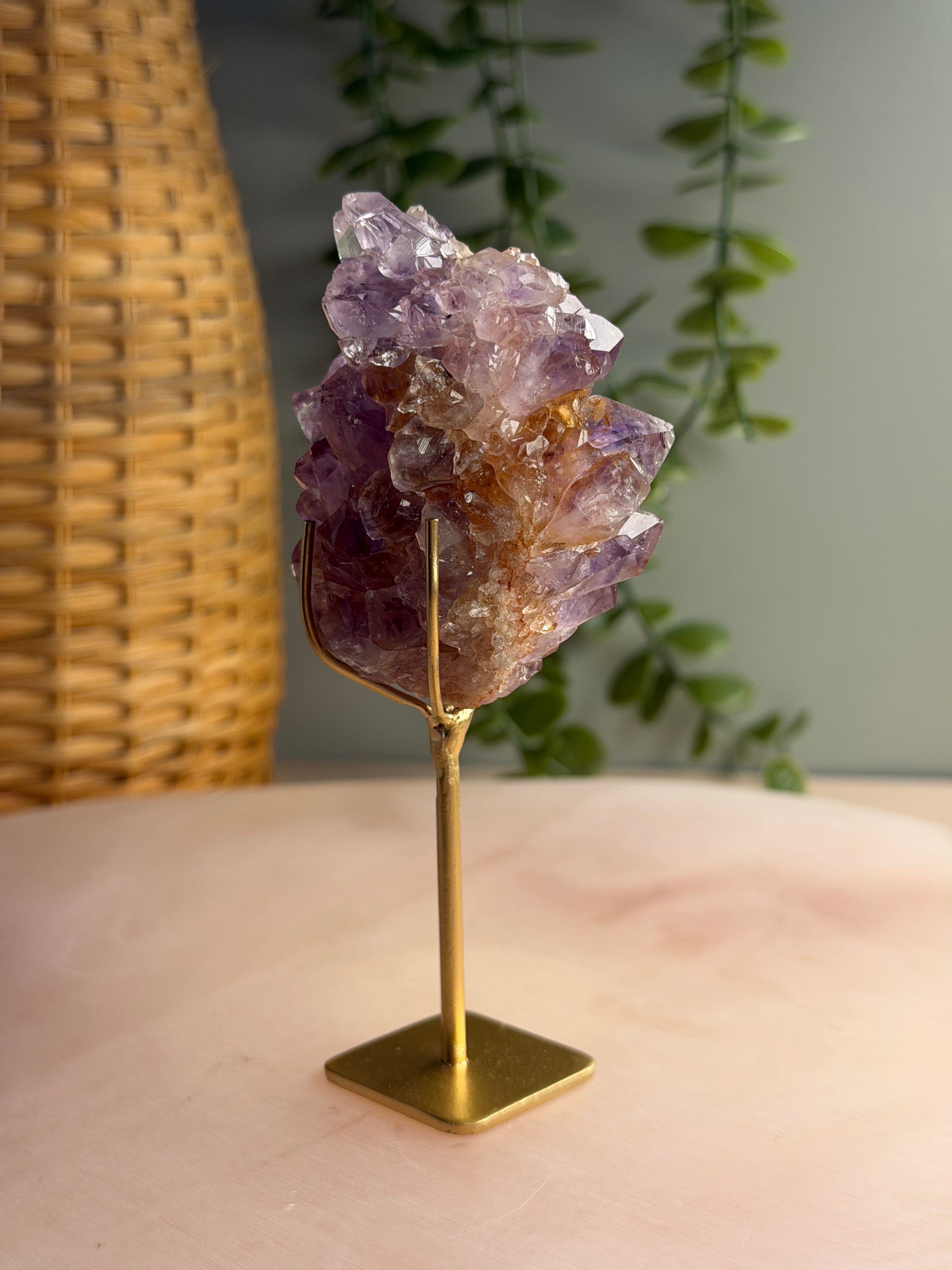 Ametrine Cluster on Stand