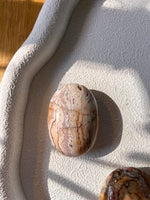 Crazy Lace Agate Palm