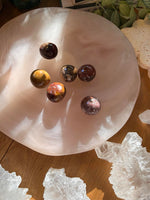 Petrified Wood Tumble