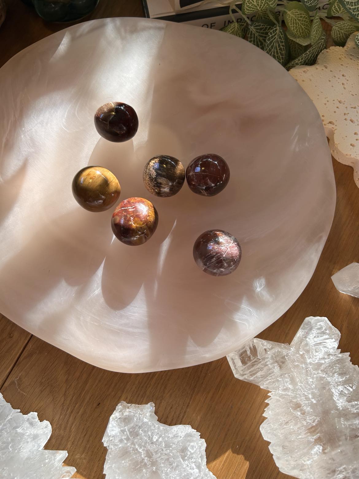 Petrified Wood Tumble