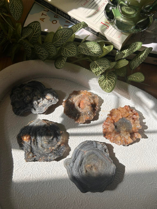 Chalcedony Rose
