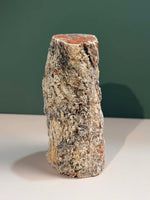 Petrified Wood Log