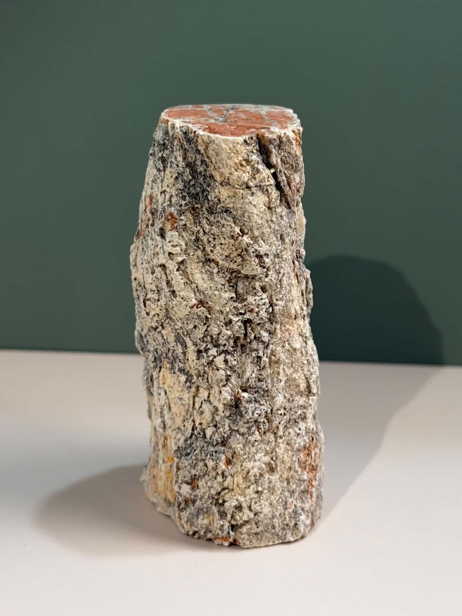Petrified Wood Log