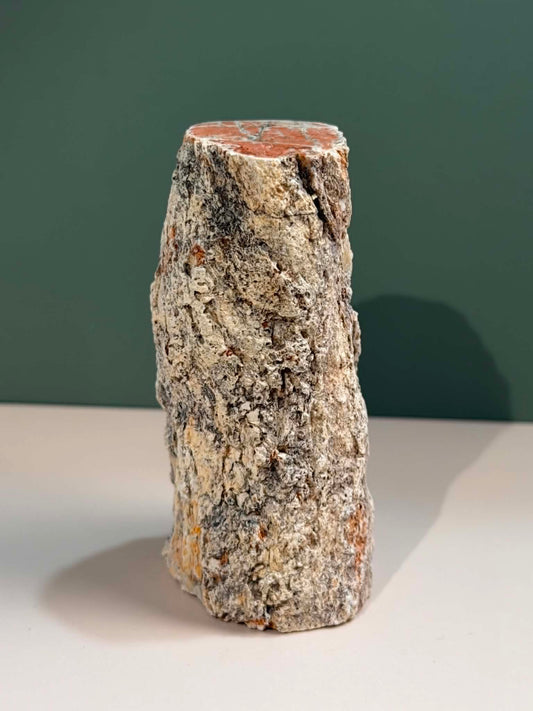 Petrified Wood Log