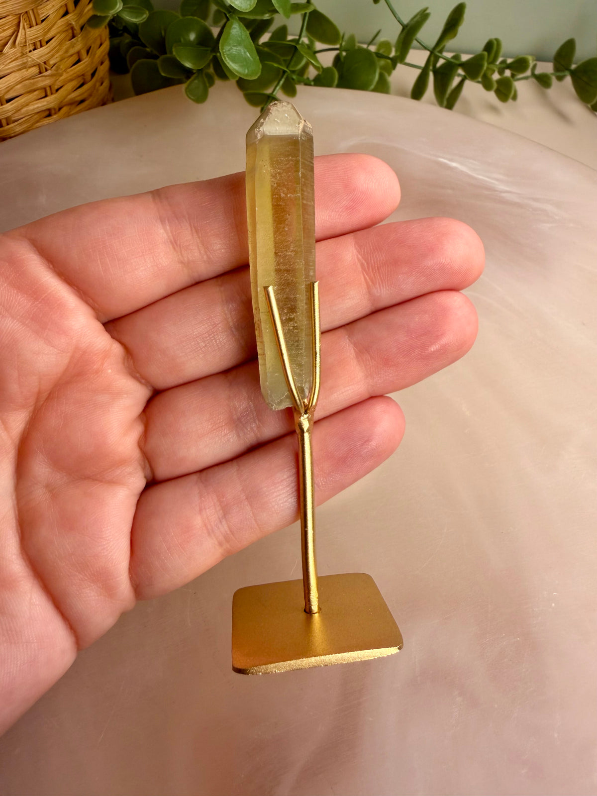 Citrine Seed on Stand