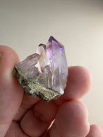 Vera Cruz Amethyst Mini