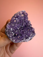 Amethyst Cluster
