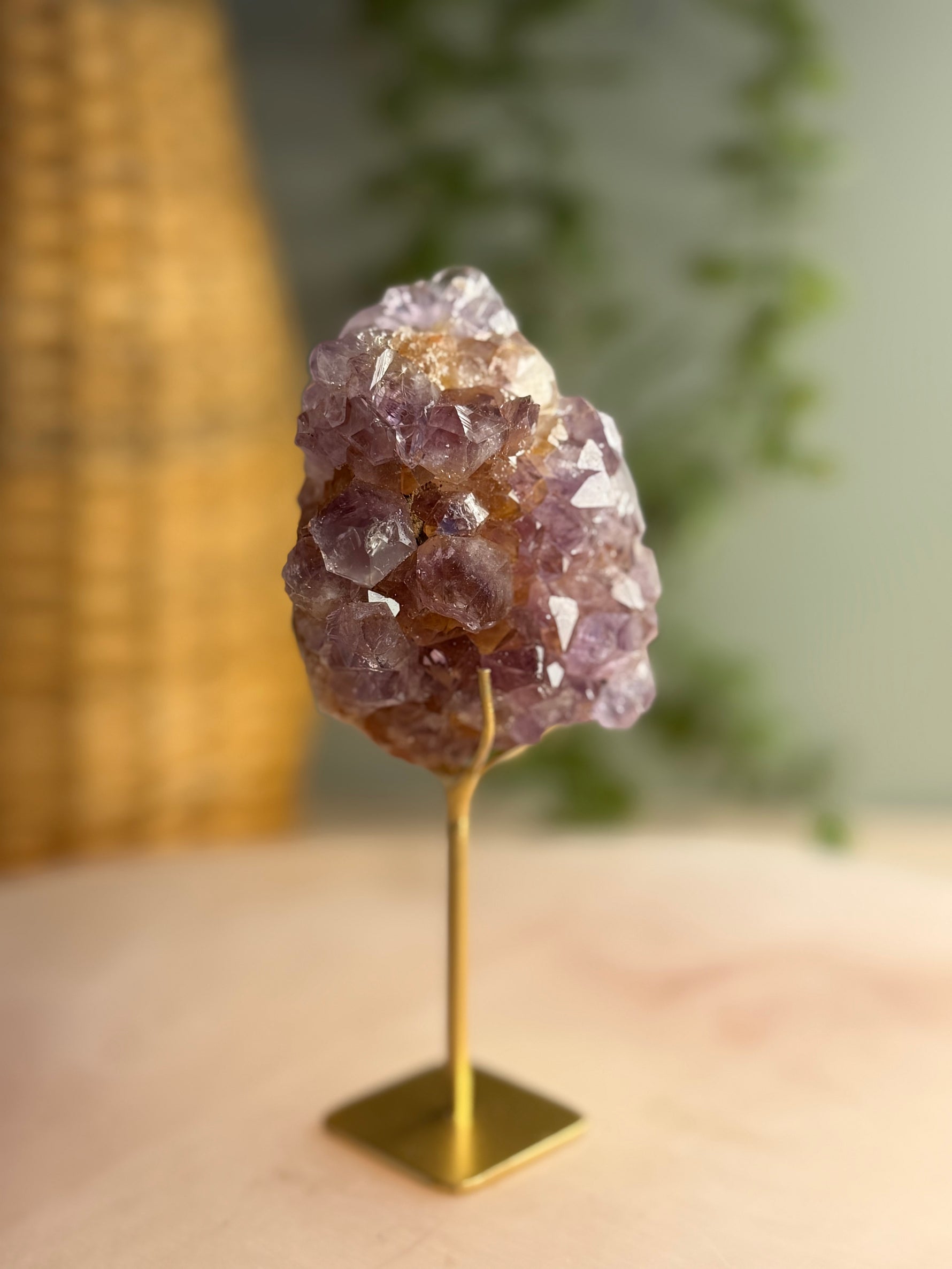 Ametrine Cluster on Stand