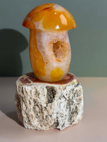 Carnelian Mushroom