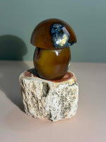 Carnelian Mushroom