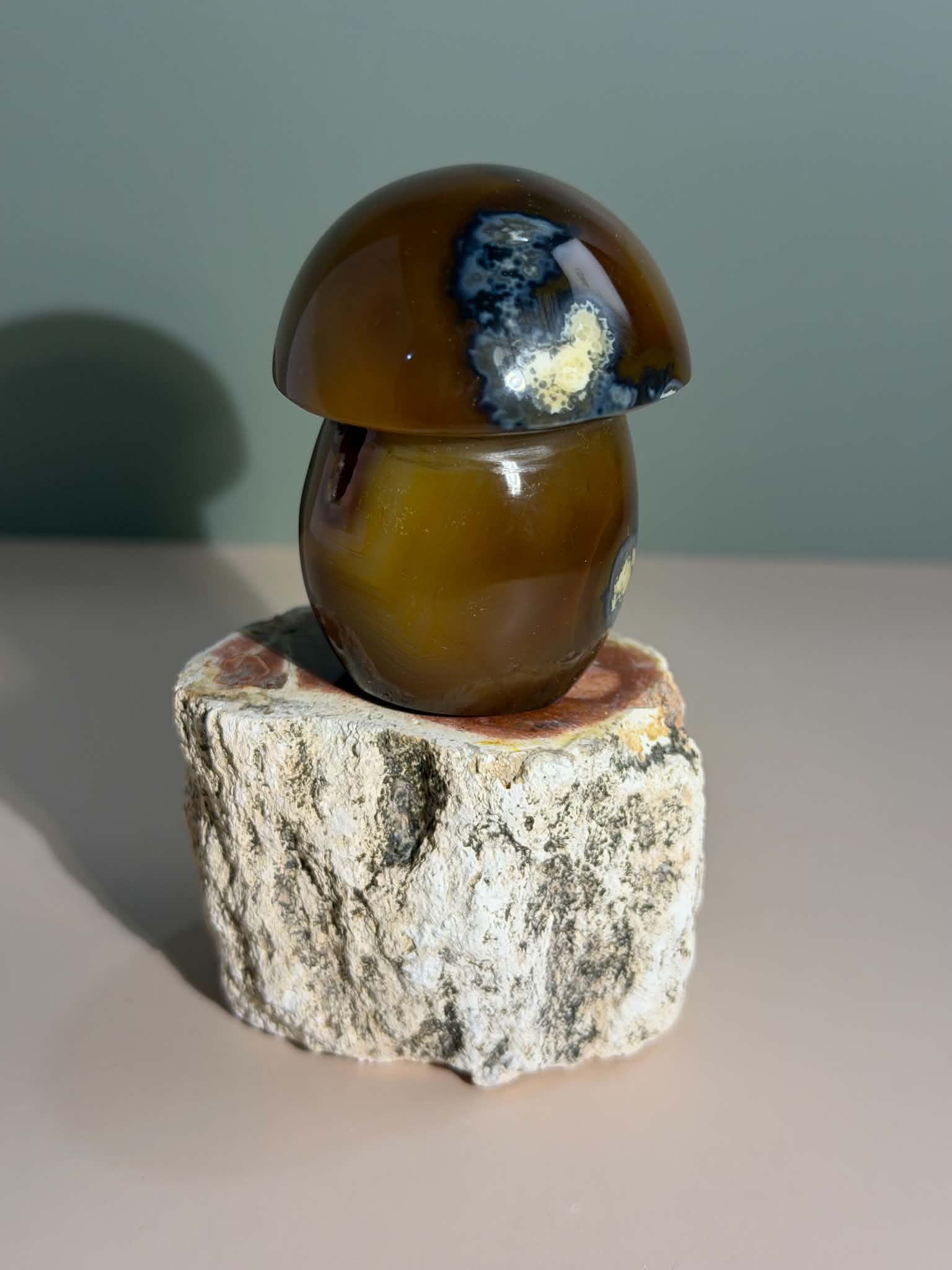 Carnelian Mushroom