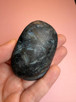 Astrophyllite Palm