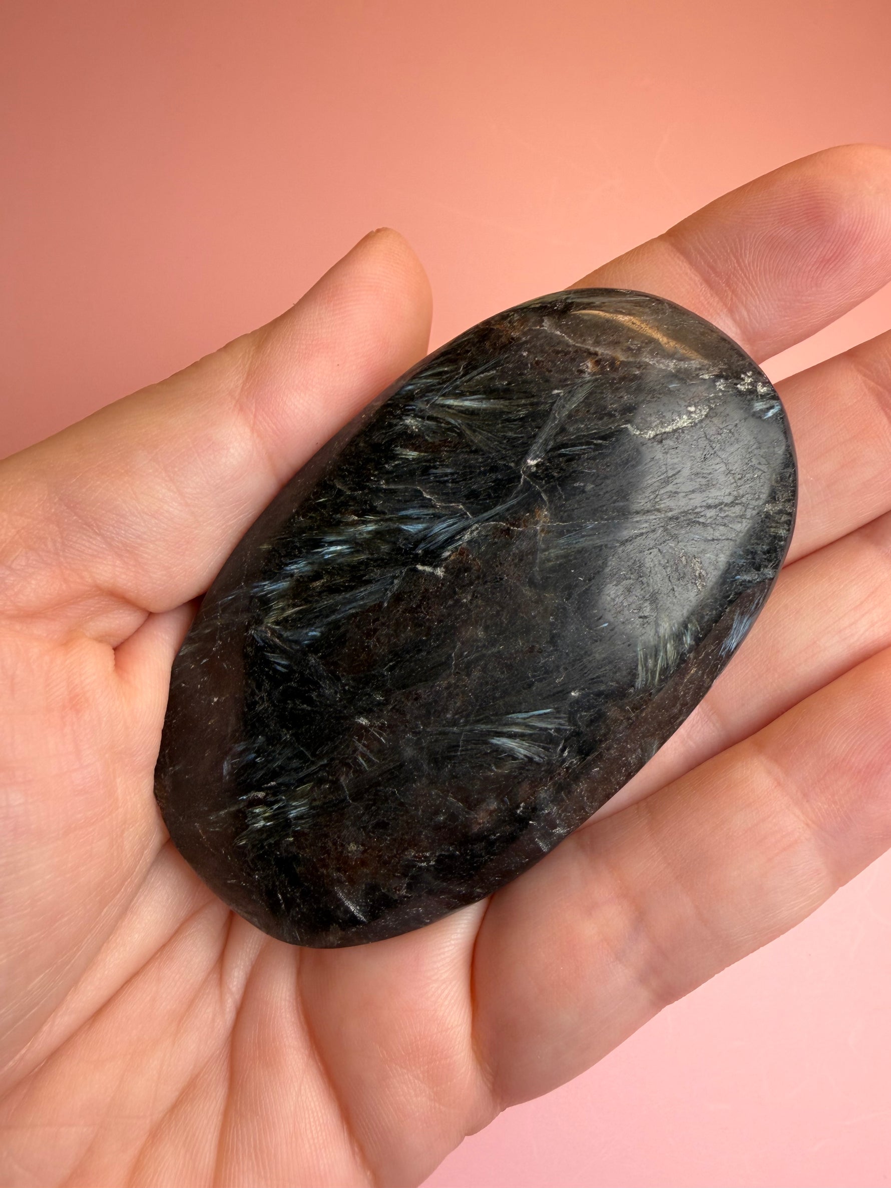 Astrophyllite Palm