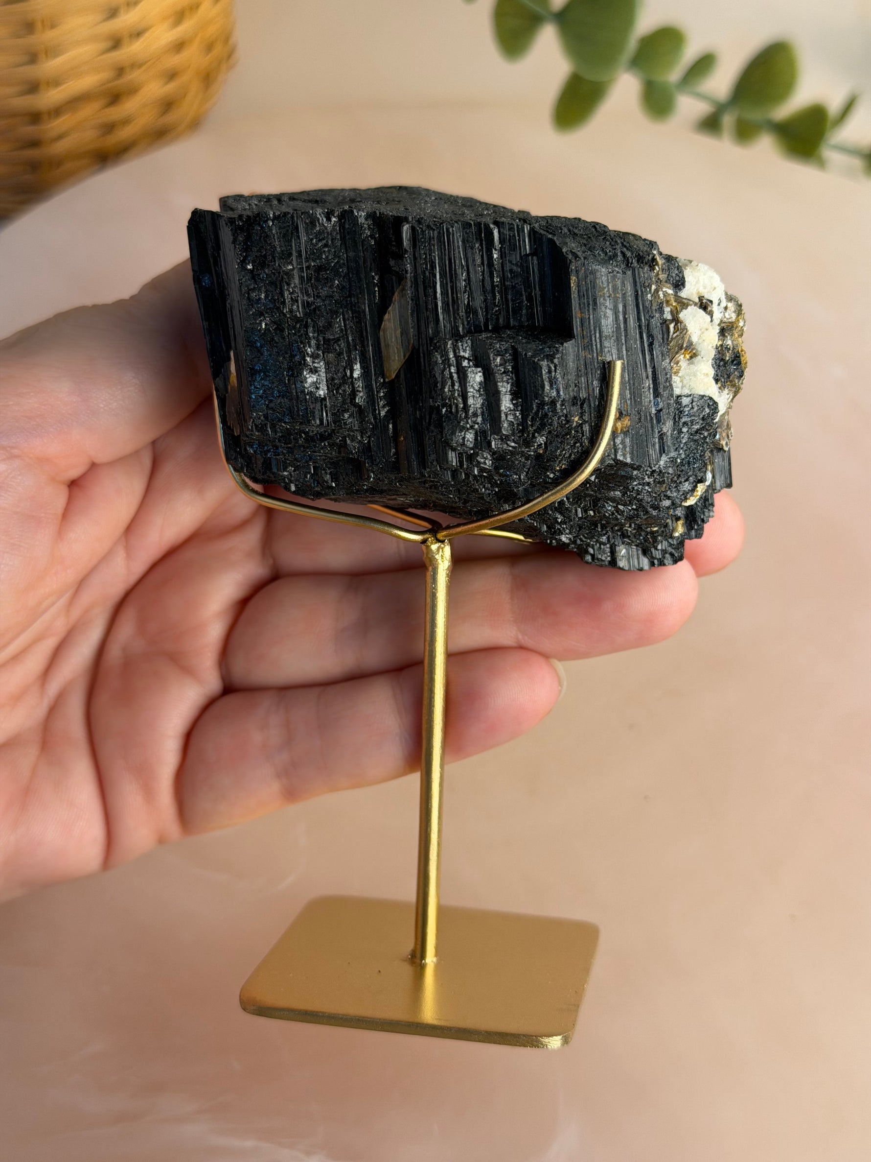 Black Tourmaline with custom stand