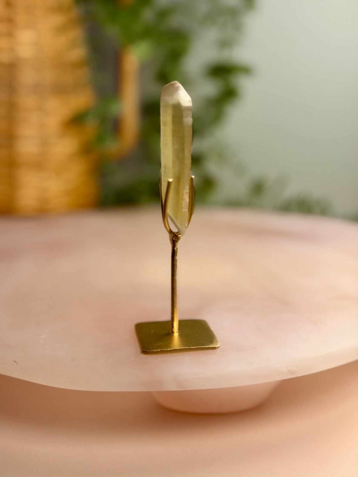 Citrine Seed on Stand
