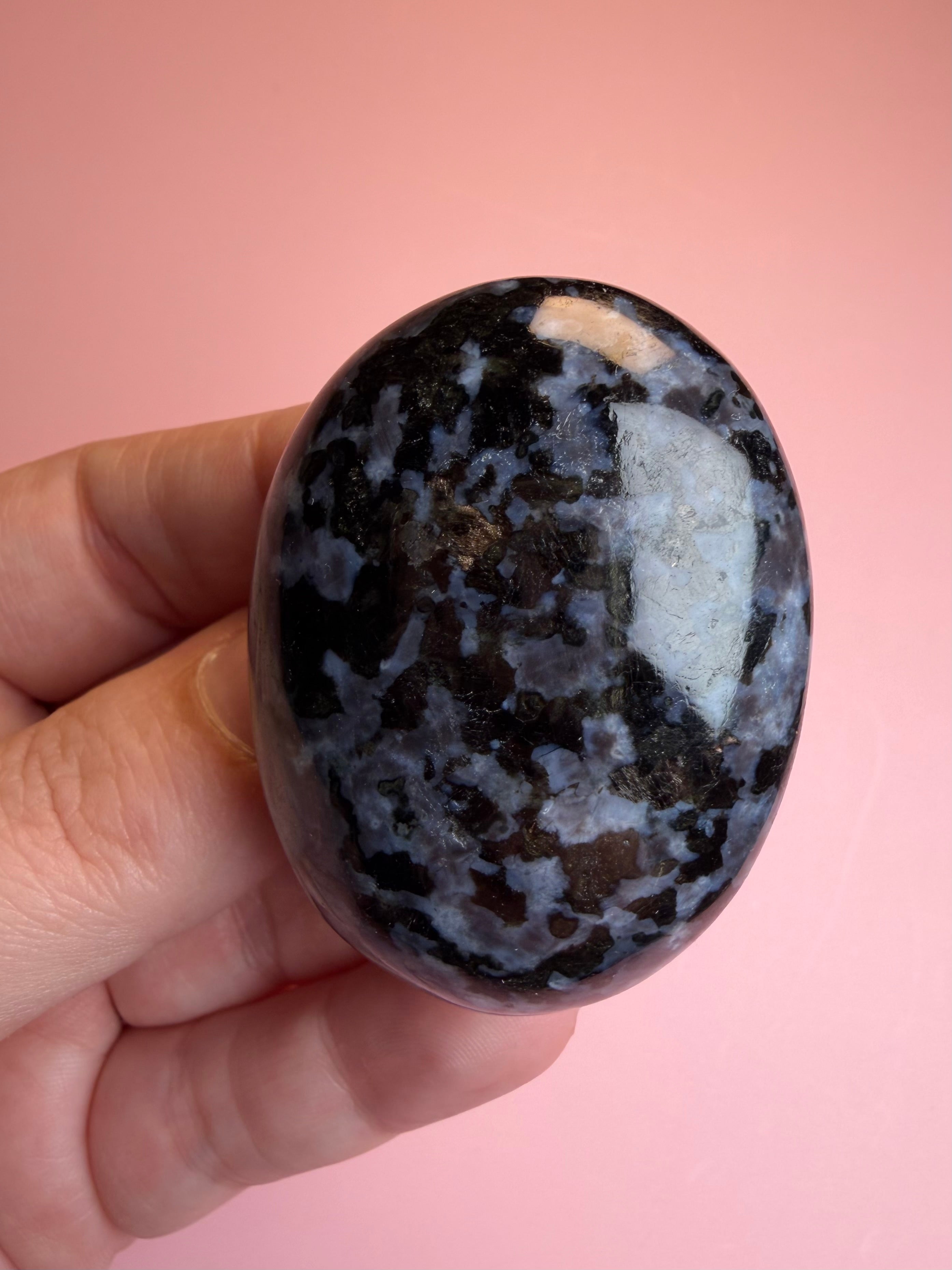 Indigo Gabbro Palm