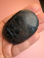 Astrophyllite Palm