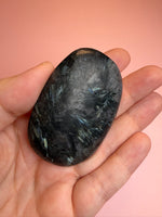 Astrophyllite Palm
