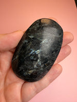 Astrophyllite Palm