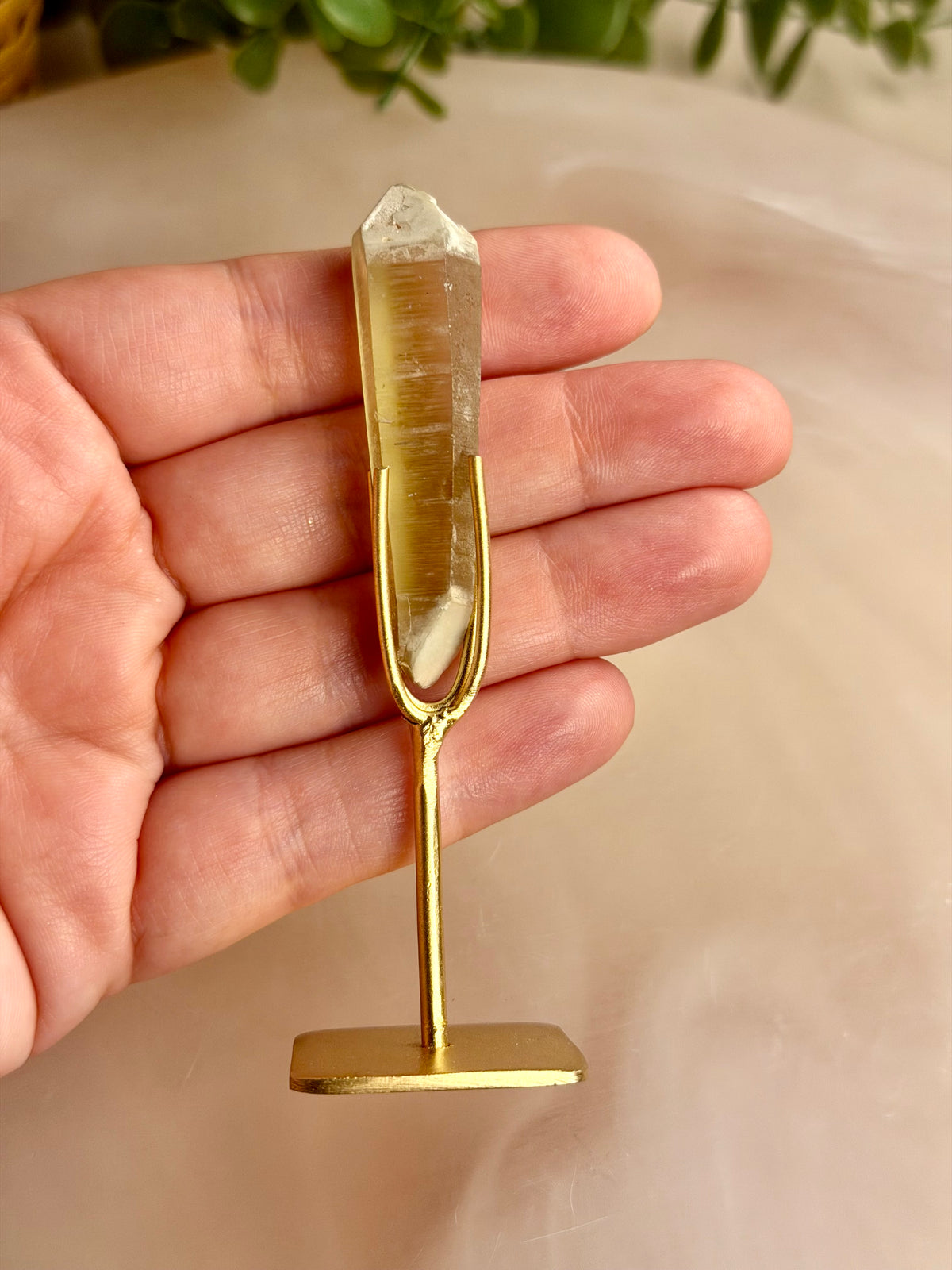 Citrine Seed on Stand